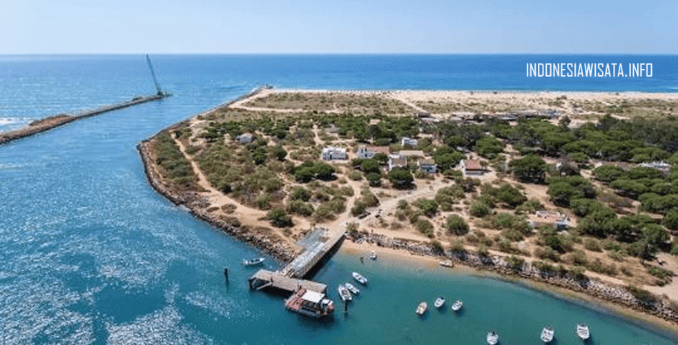 Ilha de Tavira (1)