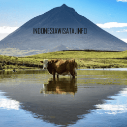 indonesiawisata.info