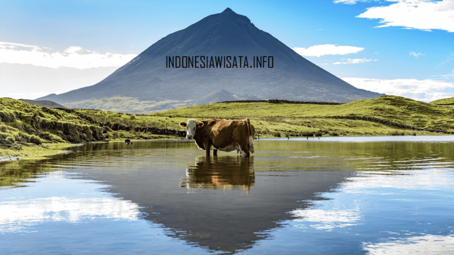 indonesiawisata.info