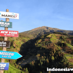 indonesiawisata