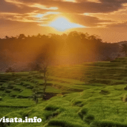 indonesiawisata