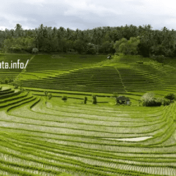 indonesiawisata