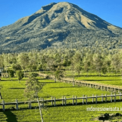 indonesiawisata