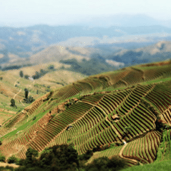 indonesiawisata.info