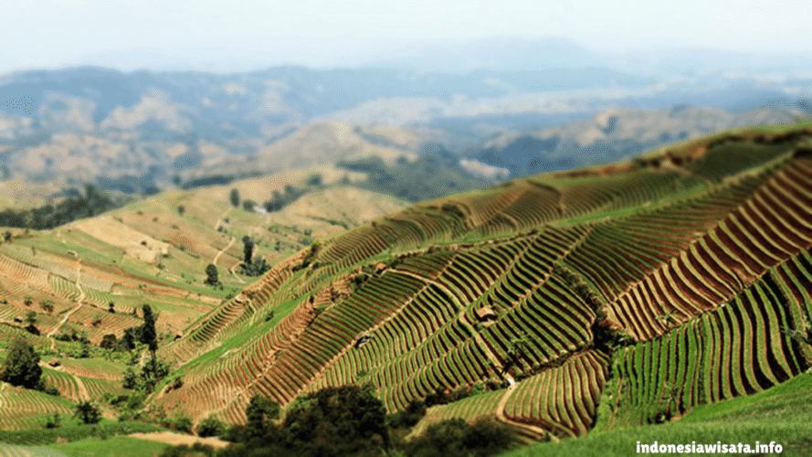 indonesiawisata.info