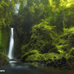 indonesiawisata.info