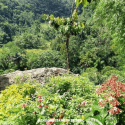 indonesiawisata.info