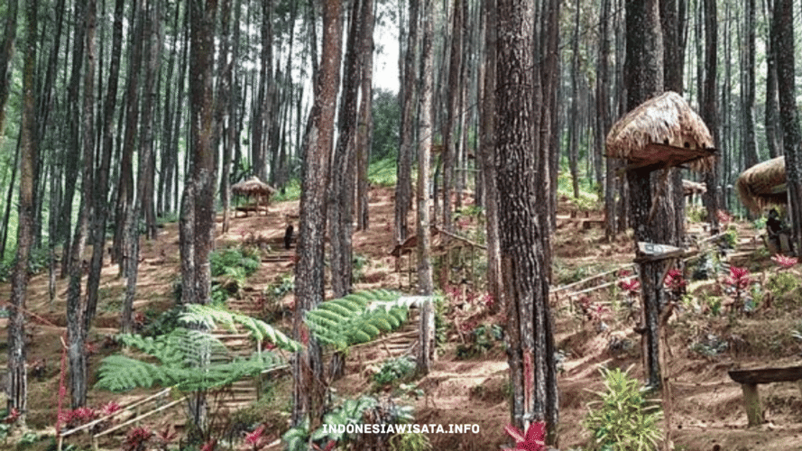 indonesiawisata.info